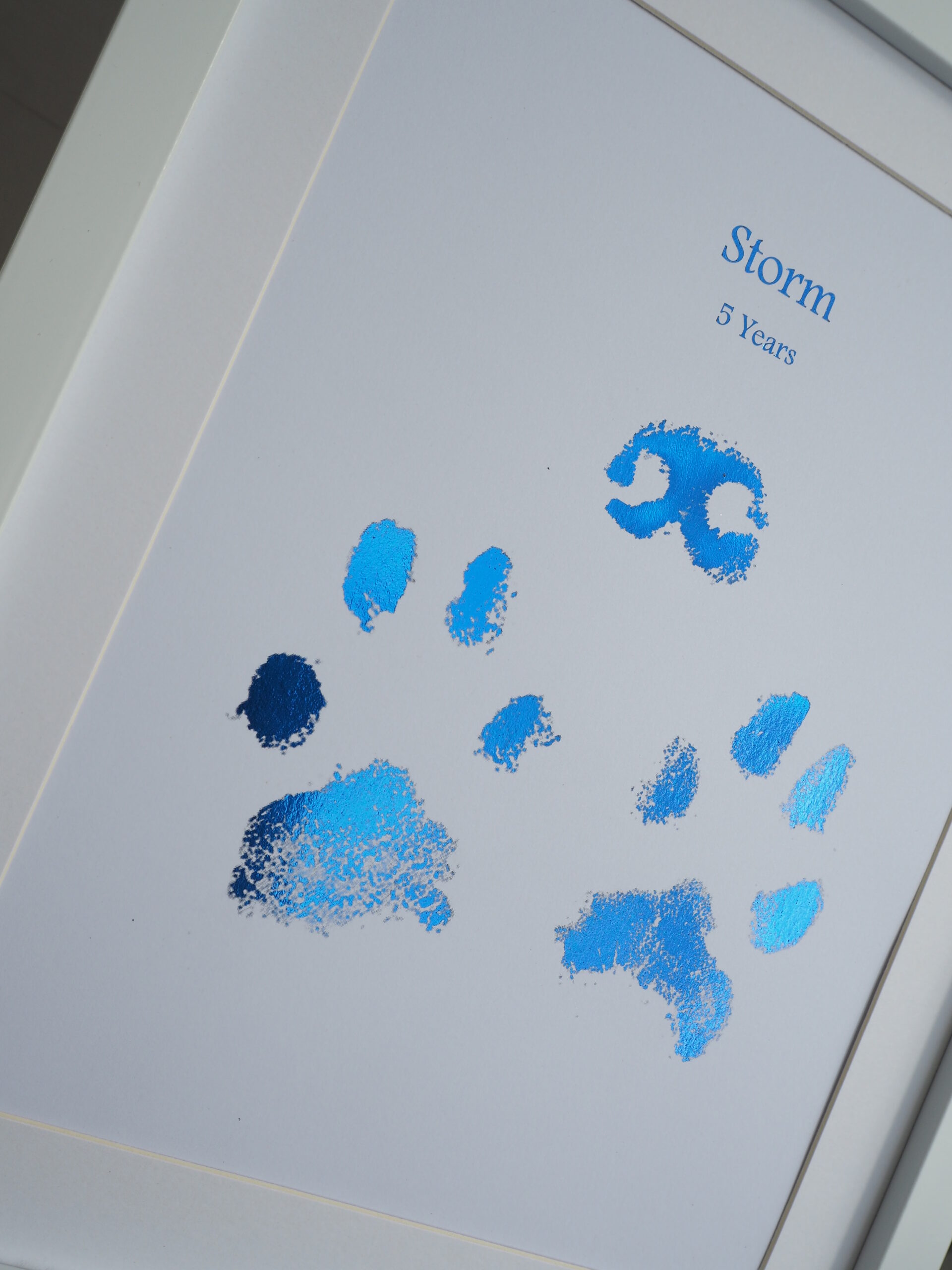 Animal Paw Prints - Image 5