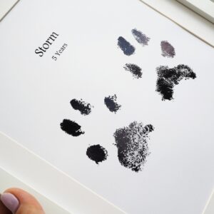 Animal Paw Prints