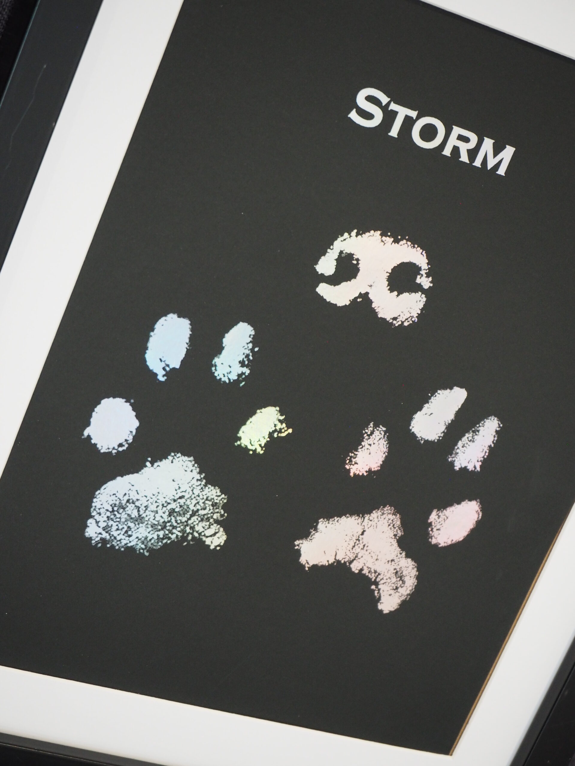 Animal Paw Prints - Image 2